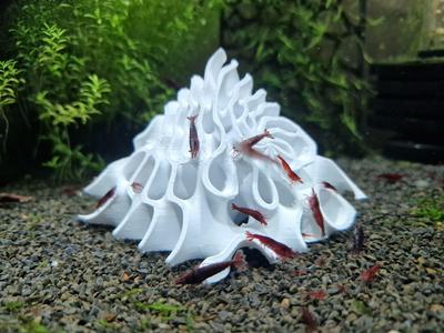 Gyroid Shrimp Hide | 3D Printable Aquarium Shrimp Shelter | Pyramid Shrimp House | Custom Shrimp Tank Design
