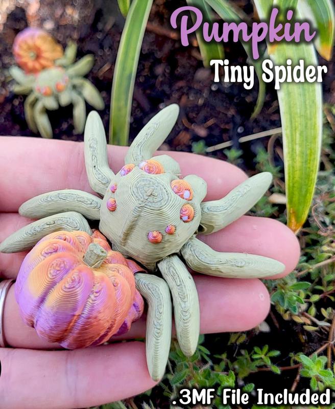 Tiny Pumpkin Spider