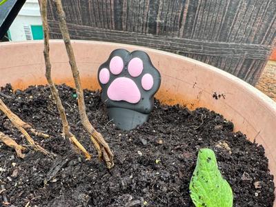 Cat Paw Water Dripper