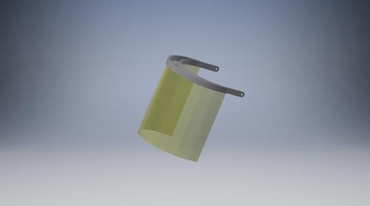 protective visor