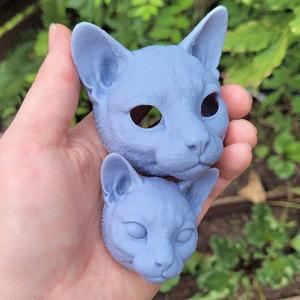 Cat head