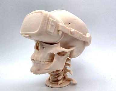 VR Skull
