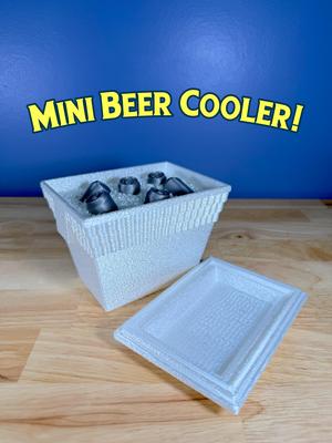 Mini Beer Cooler with secret compartment! 