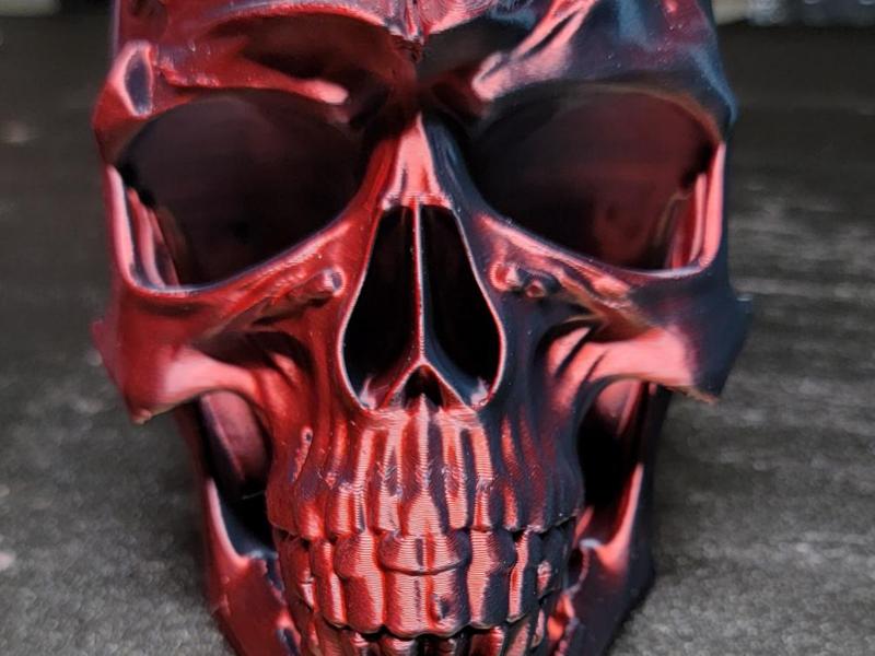 skull