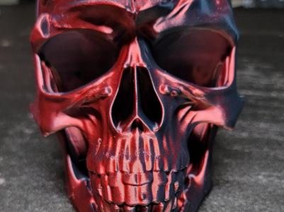 skull