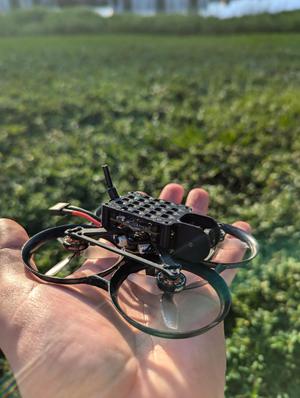 Pavo Pico Walksnail Avatar Canopy