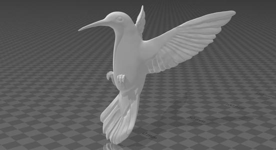 Humming bird
