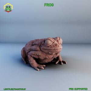 Frog