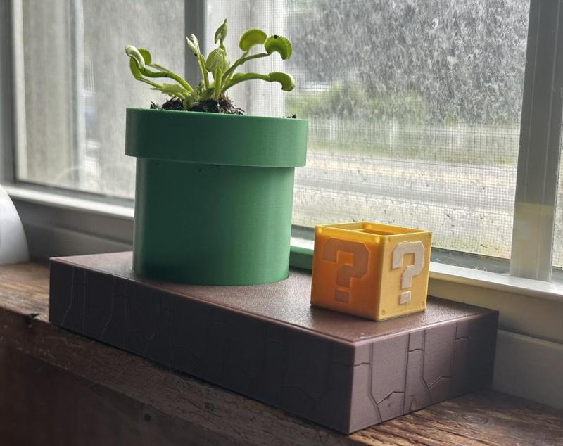 Venus Fly Trap Mario Planter