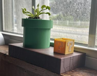 Venus Fly Trap Mario Planter