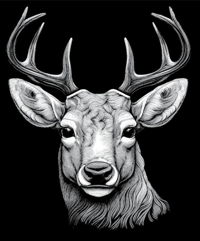 Deer Portrait 3D Wall Art | Hueforge Art Animal Photography in Black and White 