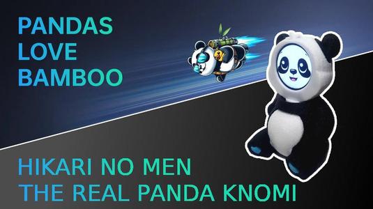 [Panda Knomi] The Real Panda Knomi Stand - Hikari no Men