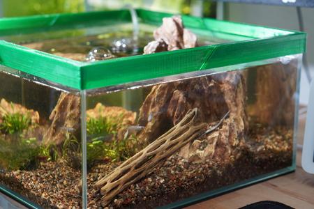 Custom Aquarium Rim