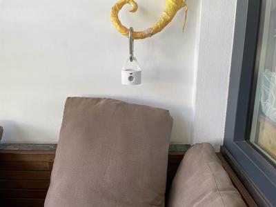Hanging Light holder (reading)
