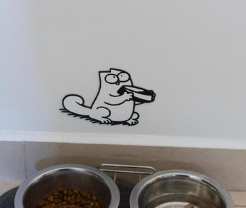 Simon's Cat