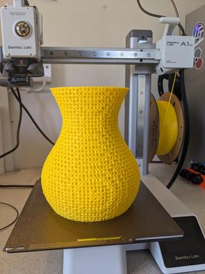 FRD TPMS Lattice Vase 