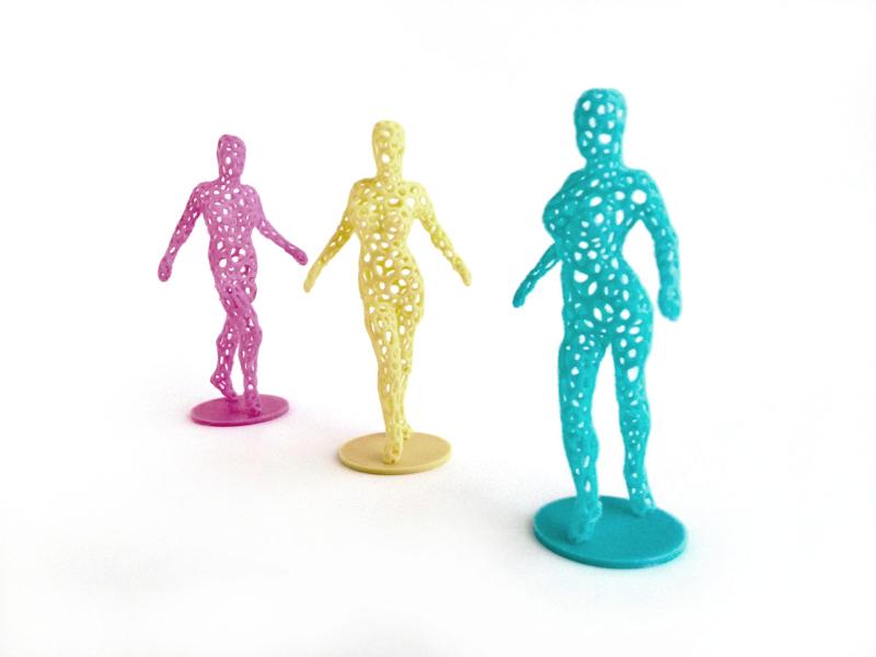 human body