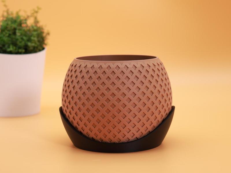 Succulent and Cactus Planter - Flower Pot