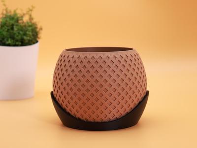 Succulent and Cactus Planter - Flower Pot