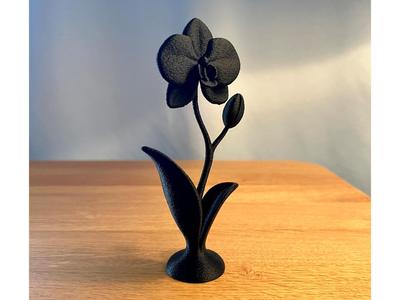 Orchid Flower Decor