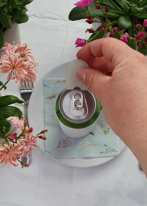 Can opener with Bee/ insect and hole to keychain! 20 min!