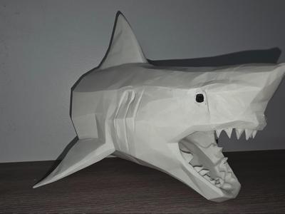 Shark Head