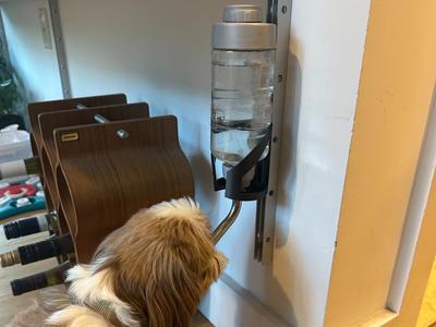 Dog Water Bottle Vitsoe Holder