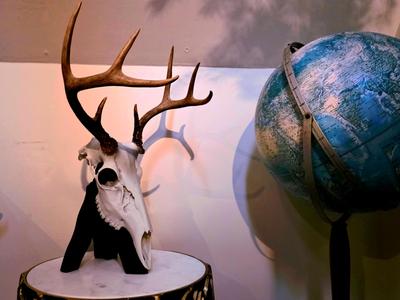 Deer Skull Desk Stand - Real or 3D Printed Skulls!