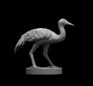Crane