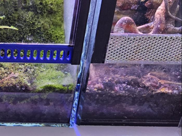 terrarium ventilation grille