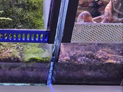 terrarium ventilation grille