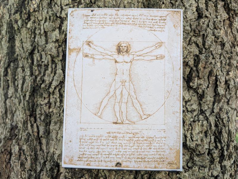 DaVinci's Iconic Art - Vitruvian Man Filament Painting