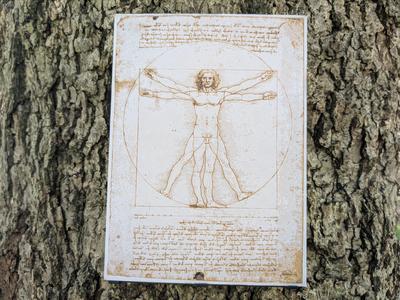 DaVinci's Iconic Art - Vitruvian Man Filament Painting