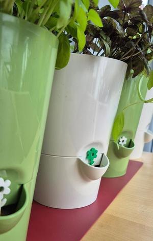 Herbs Pot Inidicator / Water Supply Stick