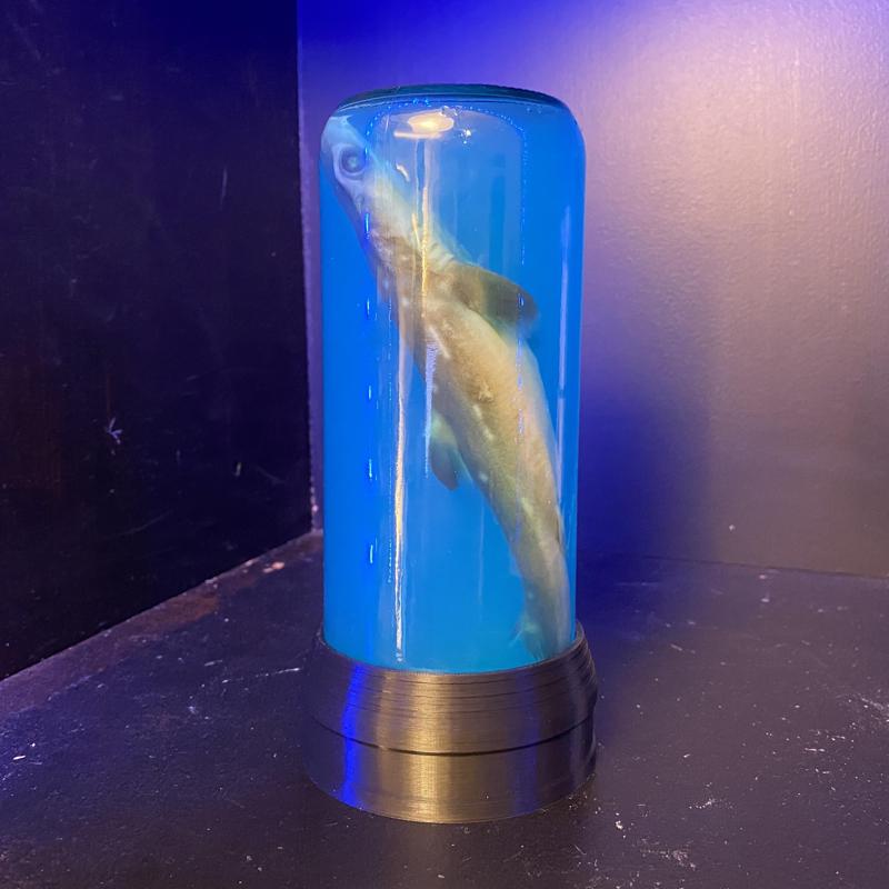 Stand for Shark in a Bottle