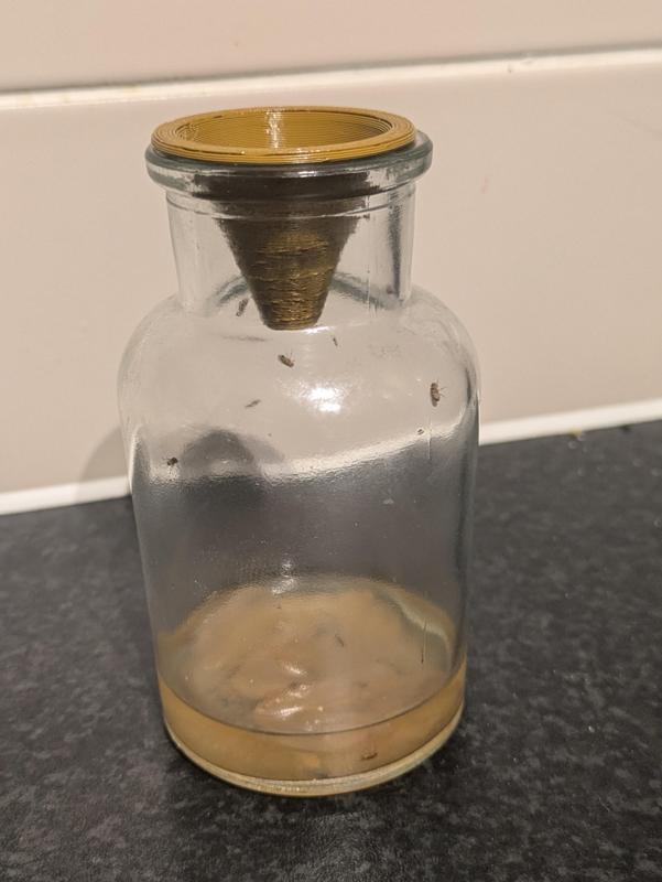 Fruit Fly Trap