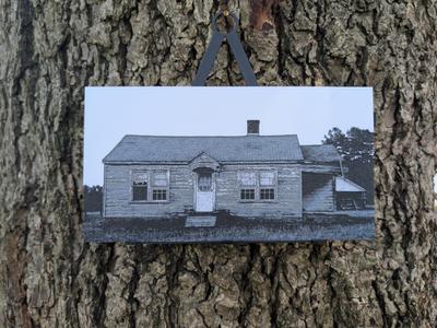 Rural Decay - Solitude Filament Painting