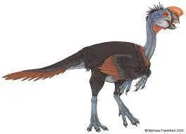 oviraptor