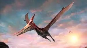 pteranodon