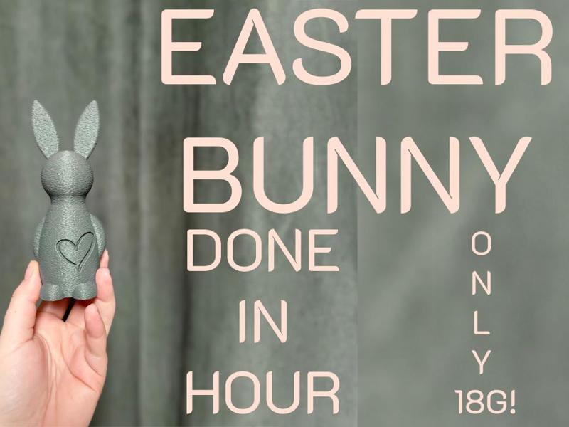 Eeaster Bunny with heart