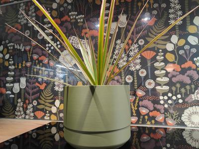 Self watering plant pot - XL