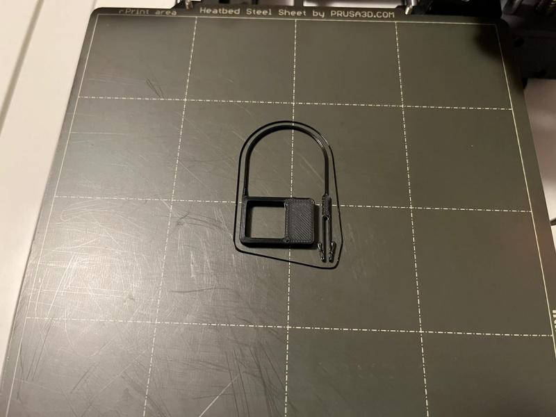 FAST Print tamper evident lock