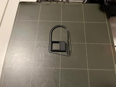 FAST Print tamper evident lock
