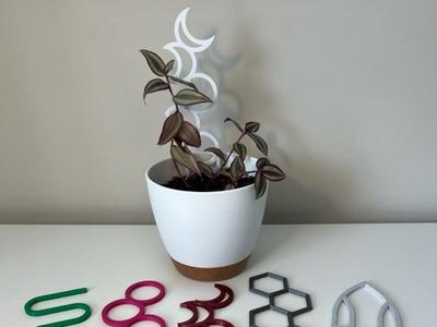 Garden Trellis - Assorted