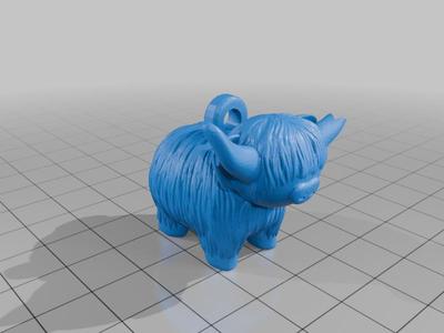 Highland cow