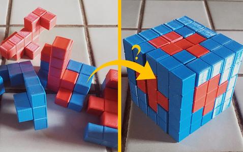Fish Cube - cube puzzle by Simon Mesnard