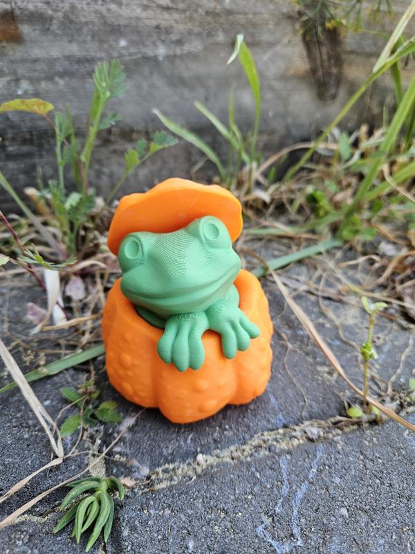 Pumpkin Frog - Halloween