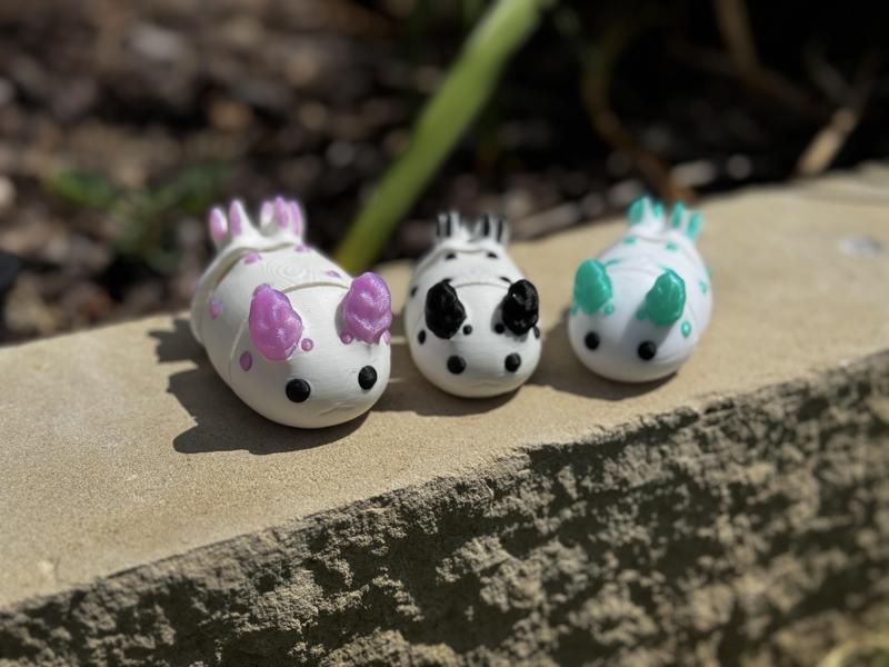 Sea Bunny