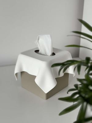 SCULPTIS tissue box