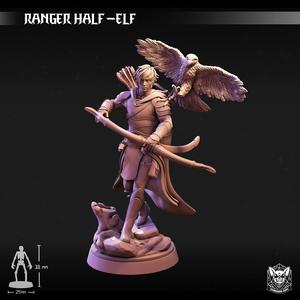 Ranger Half -Elf